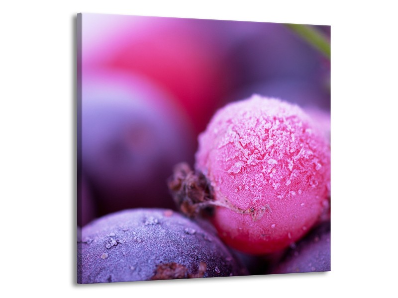 Canvas Schilderij Fruit, Keuken | Paars, Roze | 50x50cm 1Luik