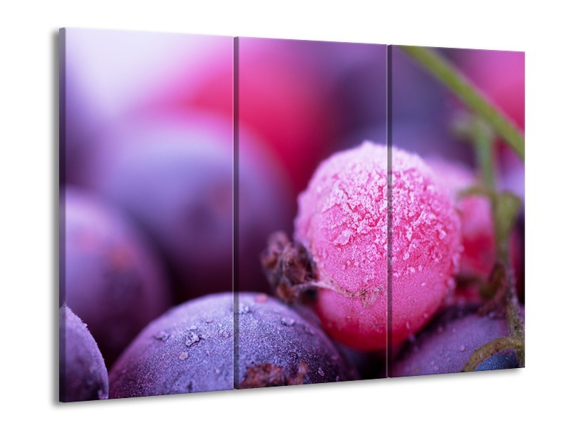 Canvas Schilderij Fruit, Keuken | Paars, Roze | 60x90cm 3Luik