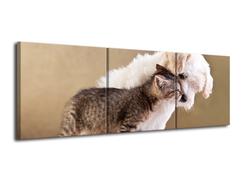 Glasschilderij Hond, Poes | Bruin, Crème | 120x40cm 3Luik