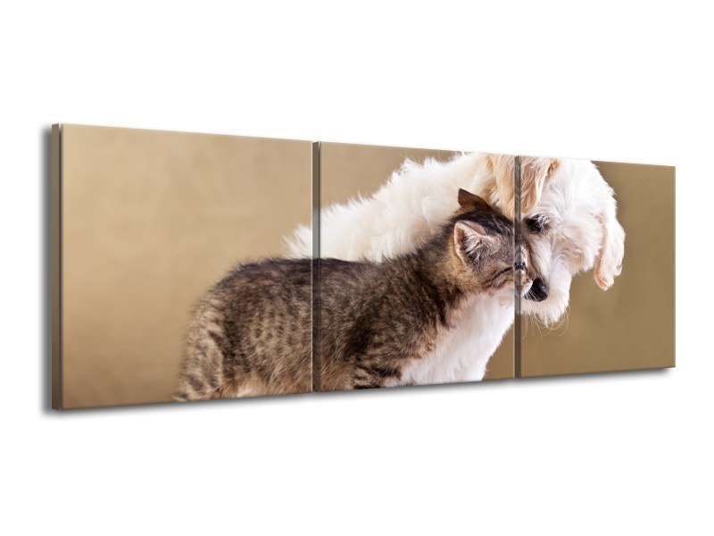 Glasschilderij Hond, Poes | Bruin, Crème | 150x50cm 3Luik