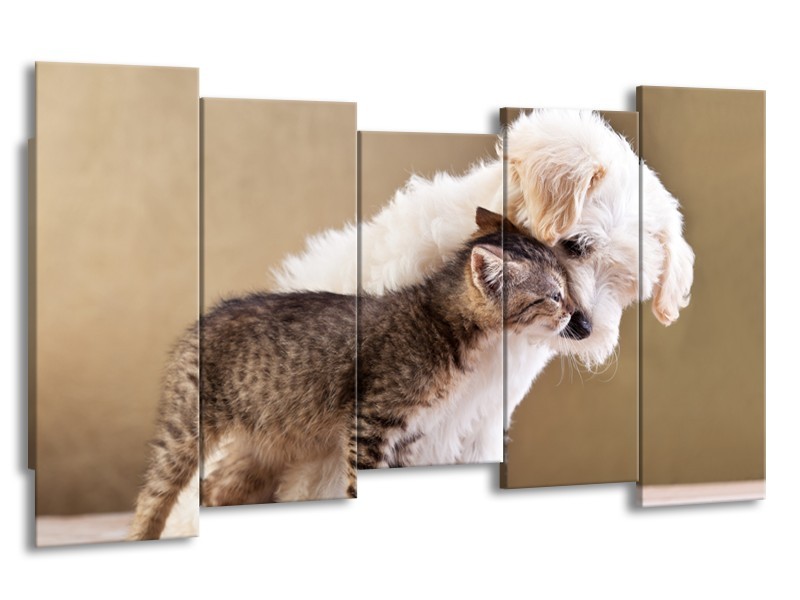 Glasschilderij Hond, Poes | Bruin, Crème | 150x80cm 5Luik