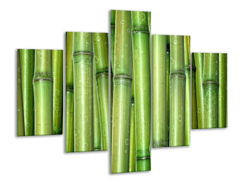 Canvas Schilderij Bamboe, Natuur | Groen | 100x70cm 5Luik