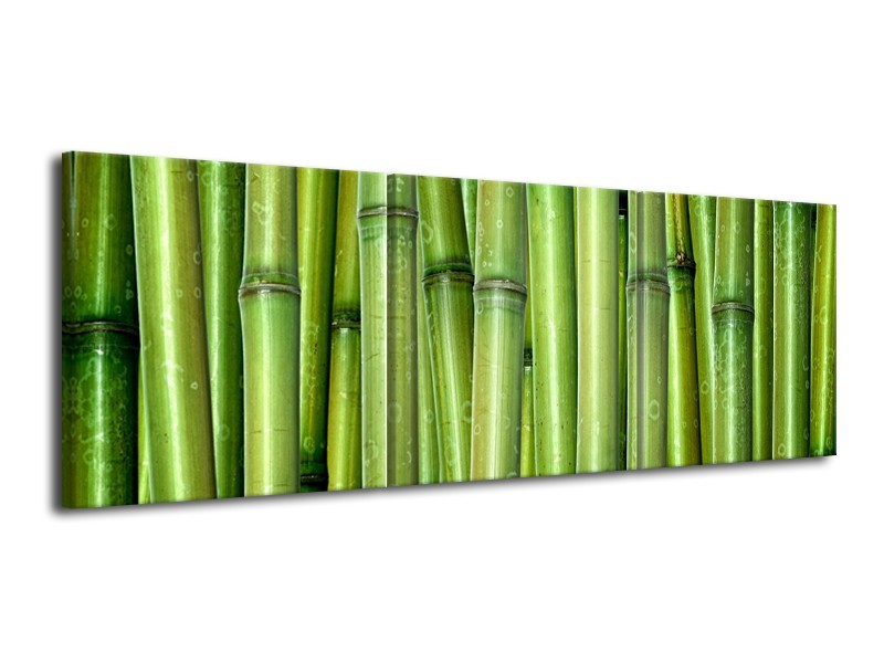 Glasschilderij Bambus, Natuur | Groen | 120x40cm 3Luik