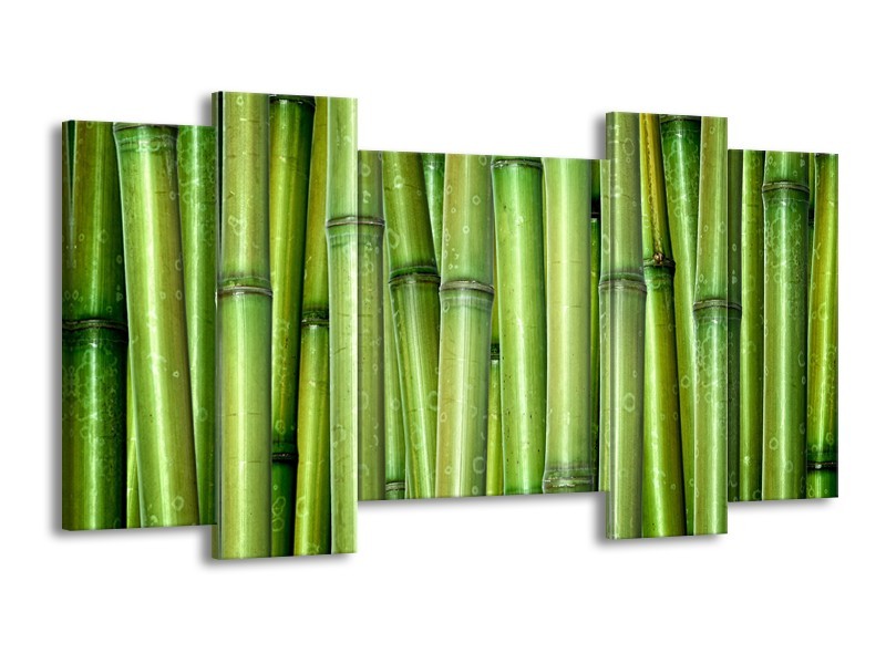 Glasschilderij Bambus, Natuur | Groen | 120x65cm 5Luik