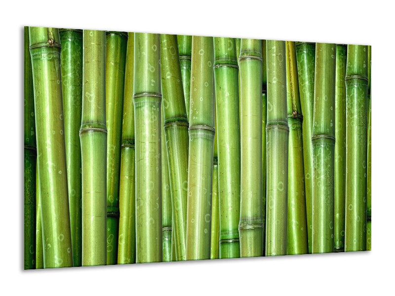 Glasschilderij Bambus, Natuur | Groen | 120x70cm 1Luik