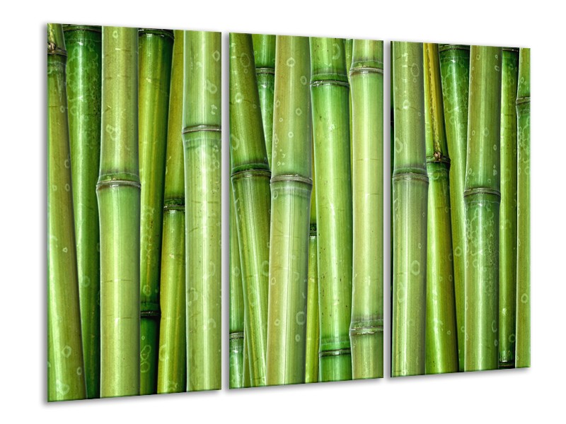 Canvas Schilderij Bamboe, Natuur | Groen | 120x80cm 3Luik