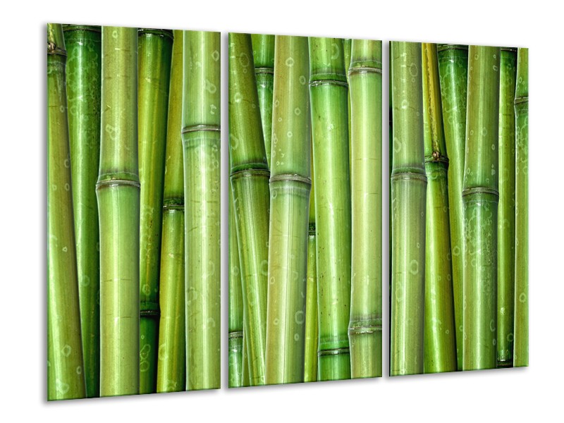 Glasschilderij Bambus, Natuur | Groen | 120x80cm 3Luik