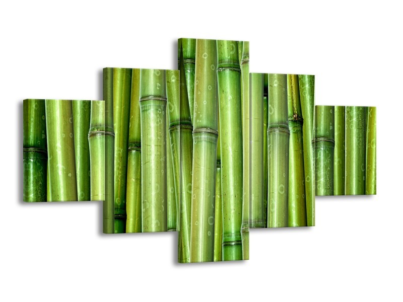 Glasschilderij Bambus, Natuur | Groen | 125x70cm 5Luik