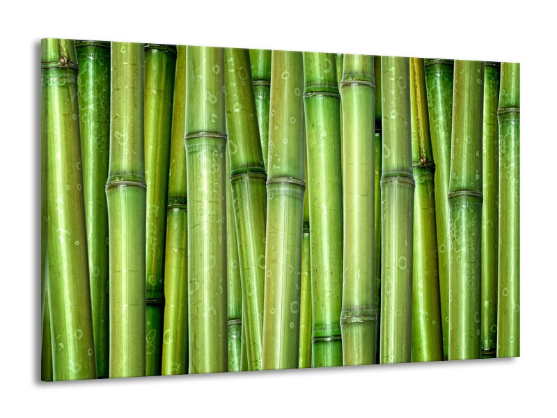 Glasschilderij Bambus, Natuur | Groen | 140x90cm 1Luik