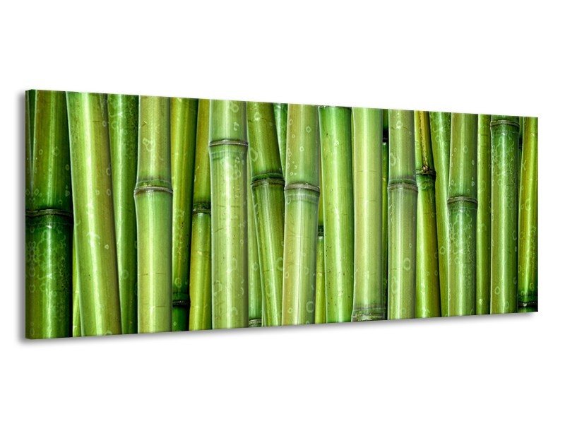 Canvas Schilderij Bamboe, Natuur | Groen | 145x58cm 1Luik