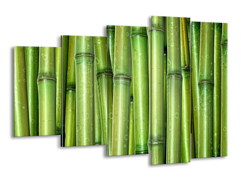 Canvas Schilderij Bamboe, Natuur | Groen | 150x100cm 5Luik