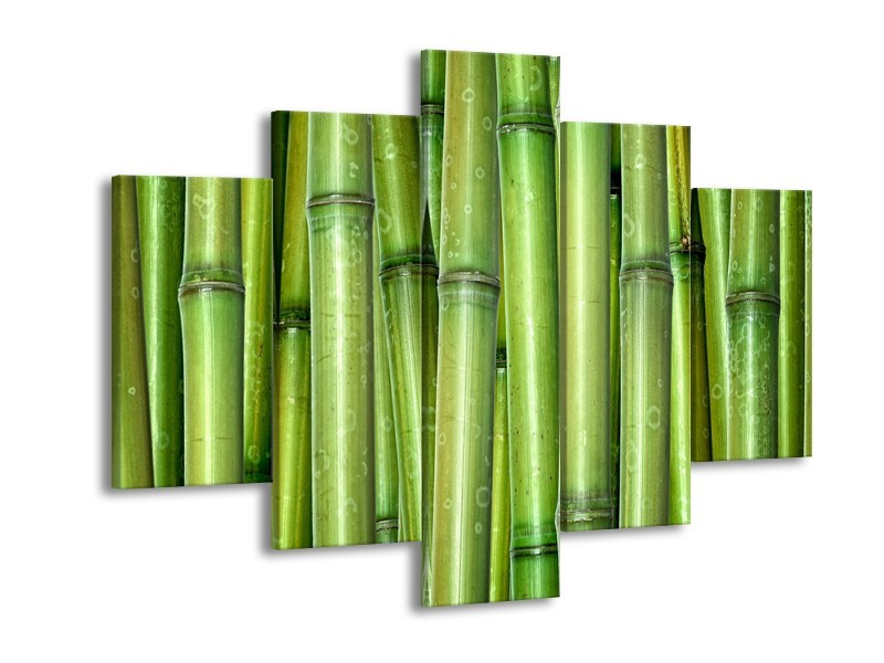 Glasschilderij Bambus, Natuur | Groen | 150x105cm 5Luik