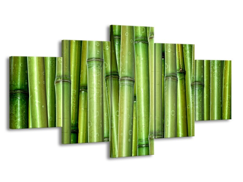 Glasschilderij Bambus, Natuur | Groen | 150x80cm 5Luik