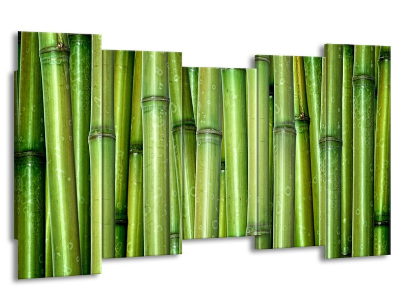 Canvas Schilderij Bamboe, Natuur | Groen | 150x80cm 5Luik