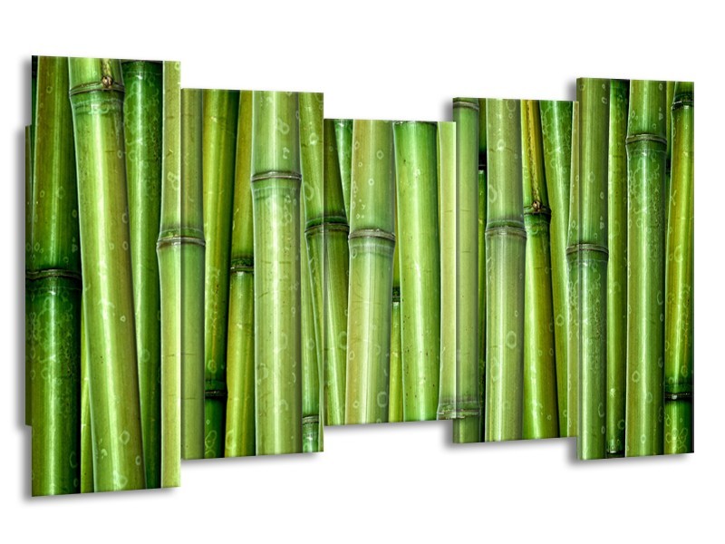 Canvas Schilderij Bamboe, Natuur | Groen | 150x80cm 5Luik