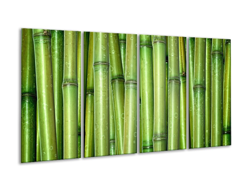 Canvas Schilderij Bamboe, Natuur | Groen | 160x80cm 4Luik