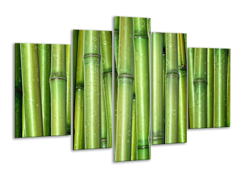 Canvas Schilderij Bamboe, Natuur | Groen | 170x100cm 5Luik