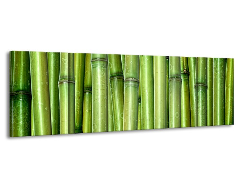 Glasschilderij Bambus, Natuur | Groen | 170x50cm 3Luik