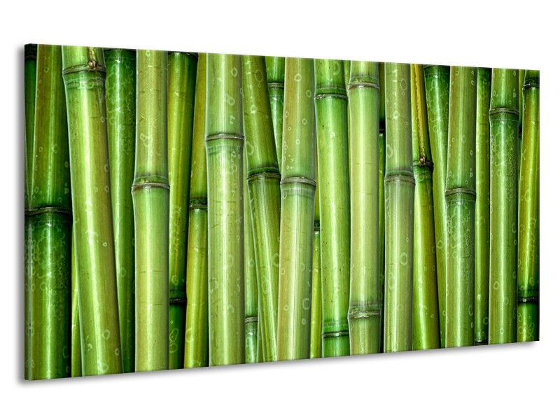 Canvas Schilderij Bamboe, Natuur | Groen | 190x100cm 1Luik