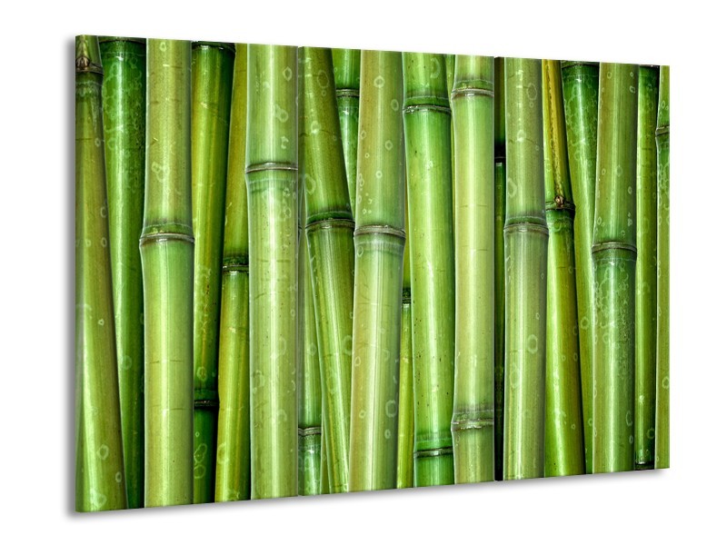 Canvas Schilderij Bamboe, Natuur | Groen | 60x90cm 3Luik