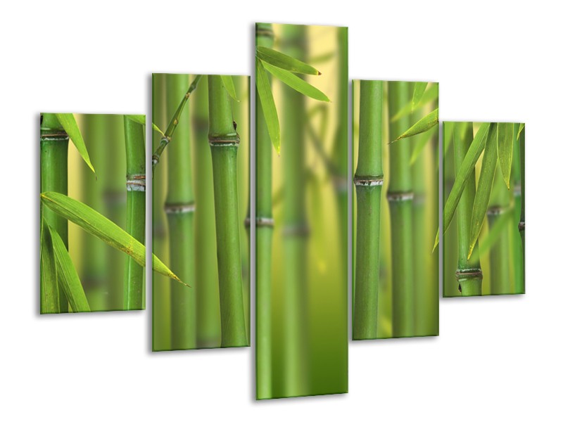 Canvas Schilderij Bamboe, Natuur | Groen, Geel | 100x70cm 5Luik