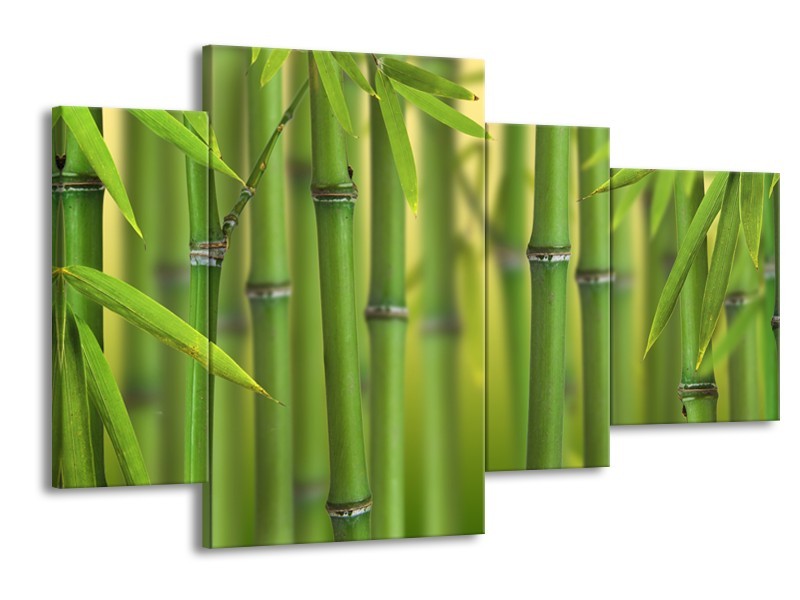Canvas Schilderij Bamboe, Natuur | Groen, Geel | 120x75cm 4Luik