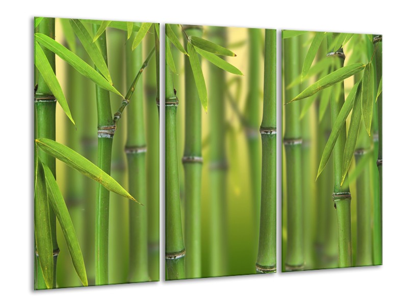 Canvas Schilderij Bamboe, Natuur | Groen, Geel | 120x80cm 3Luik