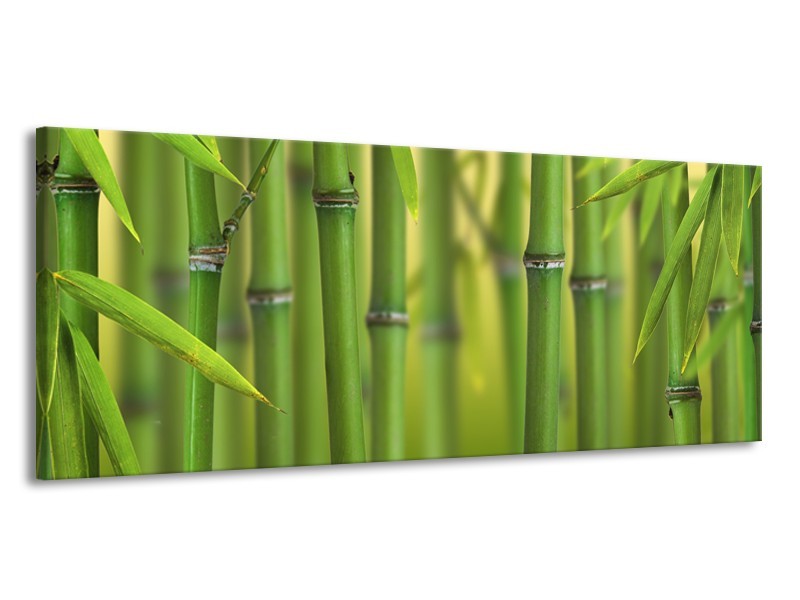 Canvas Schilderij Bamboe, Natuur | Groen, Geel | 145x58cm 1Luik