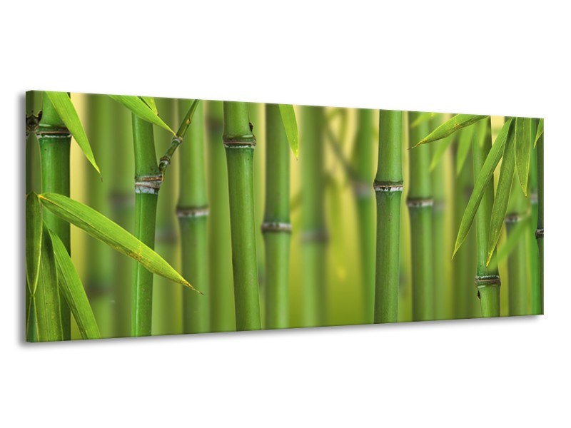 Glasschilderij Bambus, Natuur | Groen, Geel | 145x58cm 1Luik