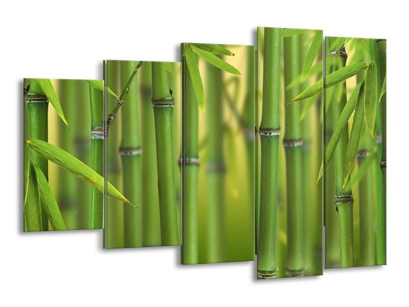 Glasschilderij Bambus, Natuur | Groen, Geel | 150x100cm 5Luik