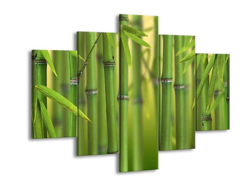 Glasschilderij Bambus, Natuur | Groen, Geel | 150x105cm 5Luik