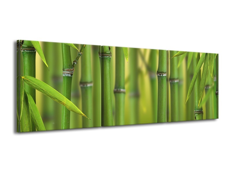 Canvas Schilderij Bamboe, Natuur | Groen, Geel | 150x50cm 3Luik