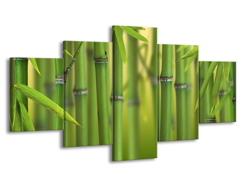 Canvas Schilderij Bamboe, Natuur | Groen, Geel | 150x80cm 5Luik