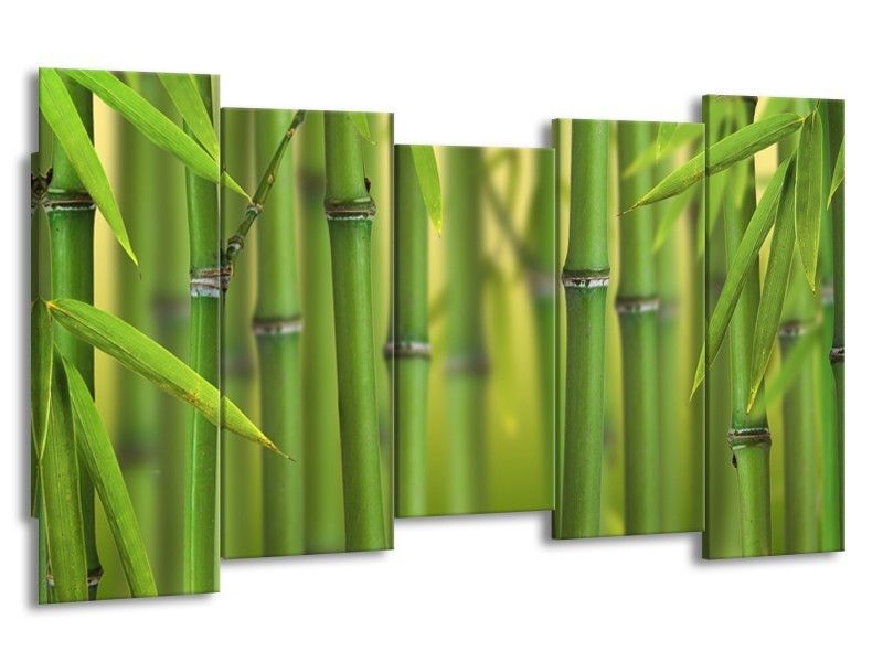 Canvas Schilderij Bamboe, Natuur | Groen, Geel | 150x80cm 5Luik
