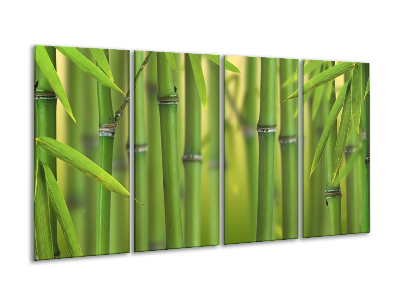 Glasschilderij Bambus, Natuur | Groen, Geel | 160x80cm 4Luik