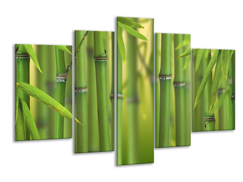 Canvas Schilderij Bamboe, Natuur | Groen, Geel | 170x100cm 5Luik