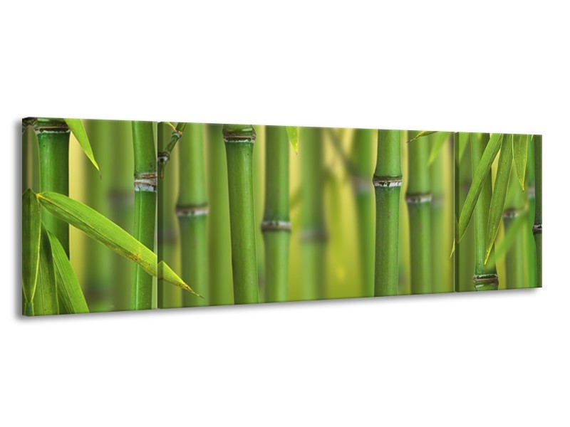 Canvas Schilderij Bamboe, Natuur | Groen, Geel | 170x50cm 3Luik