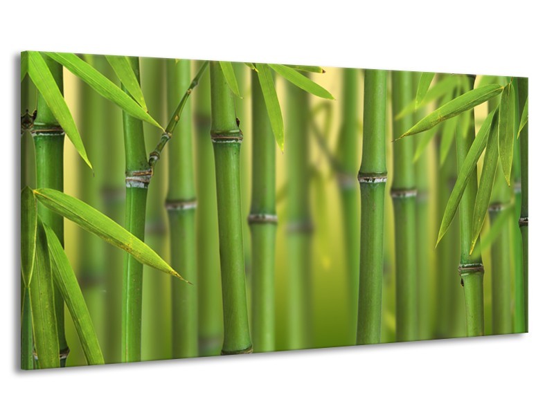 Canvas Schilderij Bamboe, Natuur | Groen, Geel | 170x90cm 1Luik