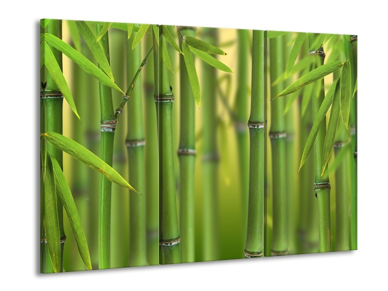 Canvas Schilderij Bamboe, Natuur | Groen, Geel | 60x90cm 3Luik
