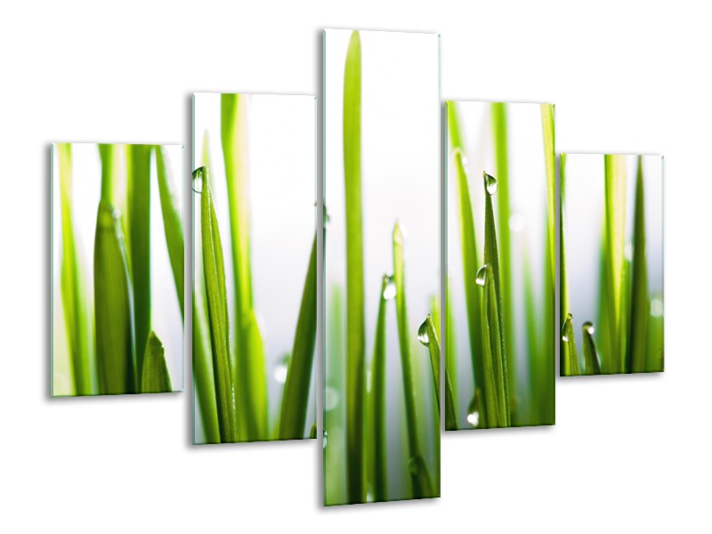 Canvas Schilderij Gras, Natuur | Groen, Geel, Wit | 100x70cm 5Luik