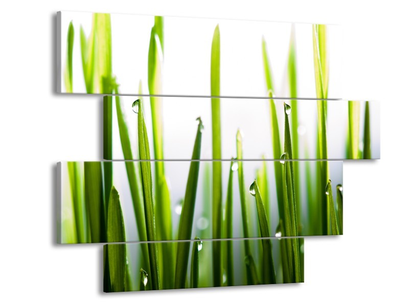 Canvas Schilderij Gras, Natuur | Groen, Geel, Wit | 115x85cm 4Luik