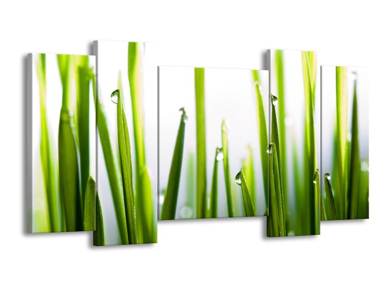 Canvas Schilderij Gras, Natuur | Groen, Geel, Wit | 120x65cm 5Luik