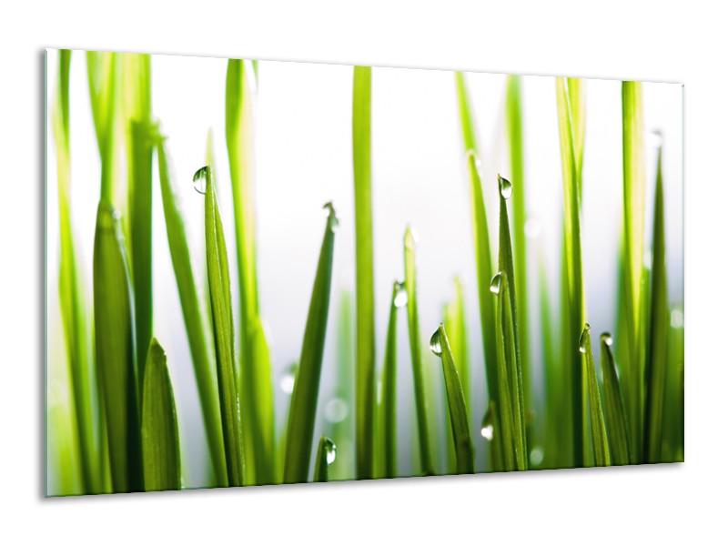 Canvas Schilderij Gras, Natuur | Groen, Geel, Wit | 120x70cm 1Luik