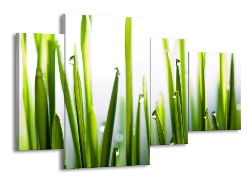 Canvas Schilderij Gras, Natuur | Groen, Geel, Wit | 120x75cm 4Luik