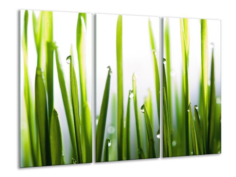 Canvas Schilderij Gras, Natuur | Groen, Geel, Wit | 120x80cm 3Luik