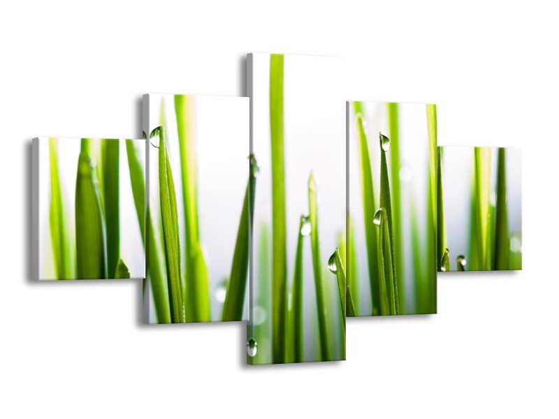 Glasschilderij Gras, Natuur | Groen, Geel, Wit | 125x70cm 5Luik