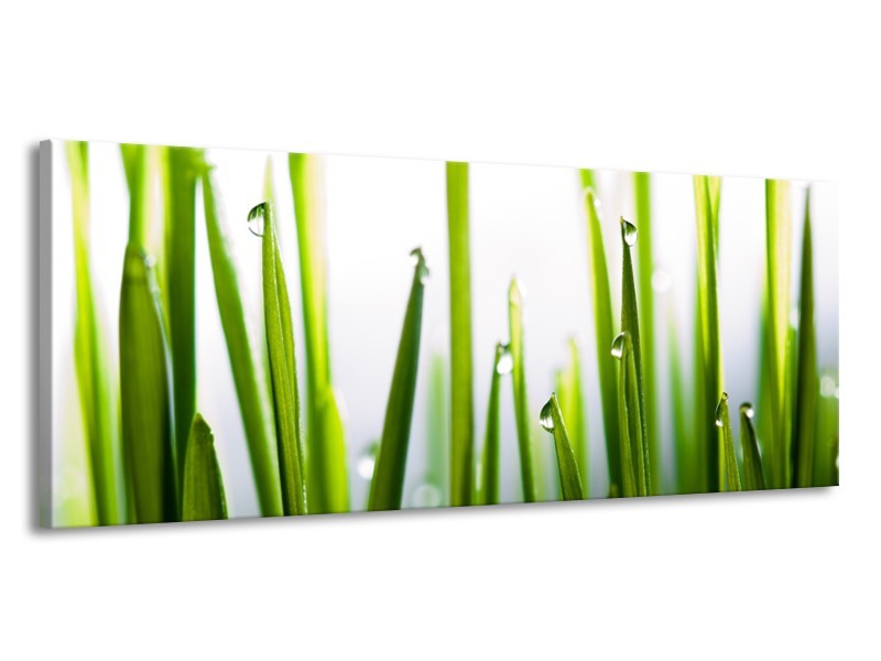Canvas Schilderij Gras, Natuur | Groen, Geel, Wit | 145x58cm 1Luik