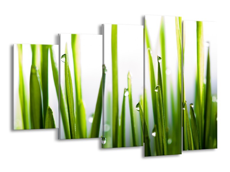 Glasschilderij Gras, Natuur | Groen, Geel, Wit | 150x100cm 5Luik