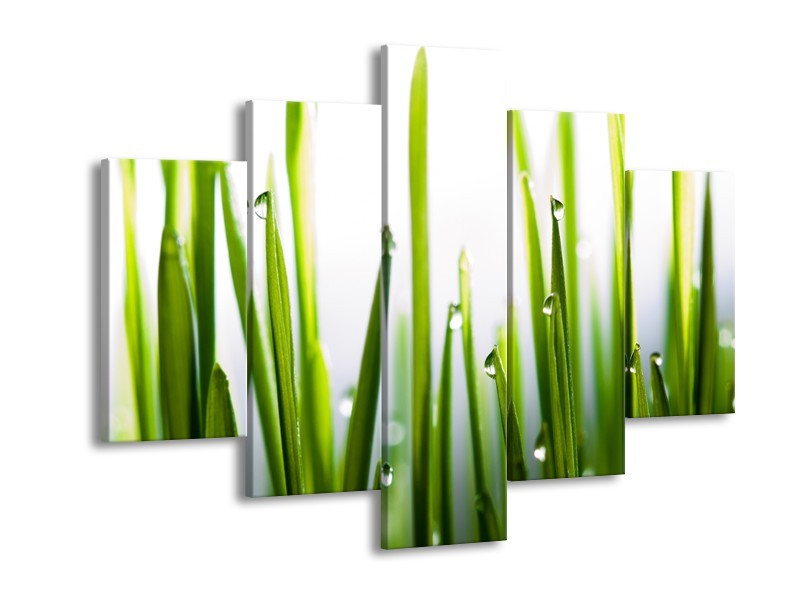 Canvas Schilderij Gras, Natuur | Groen, Geel, Wit | 150x105cm 5Luik