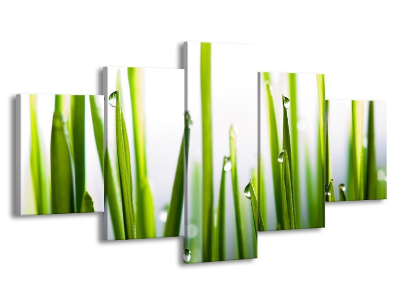 Canvas Schilderij Gras, Natuur | Groen, Geel, Wit | 150x80cm 5Luik